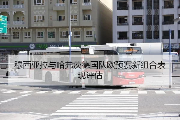 穆西亚拉与哈弗茨德国队欧预赛新组合表现评估